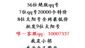 超低价批发QQ号，全网最便宜，海量资源等你选购！