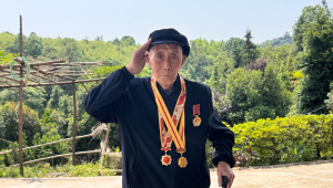 QQ自动发货老兵：坚守发货使命，铸就信任传奇